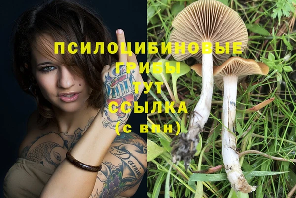 мет Заволжск
