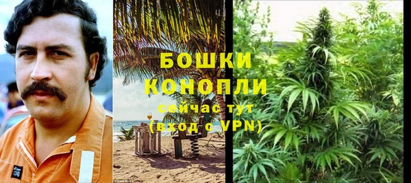 первитин Заводоуковск